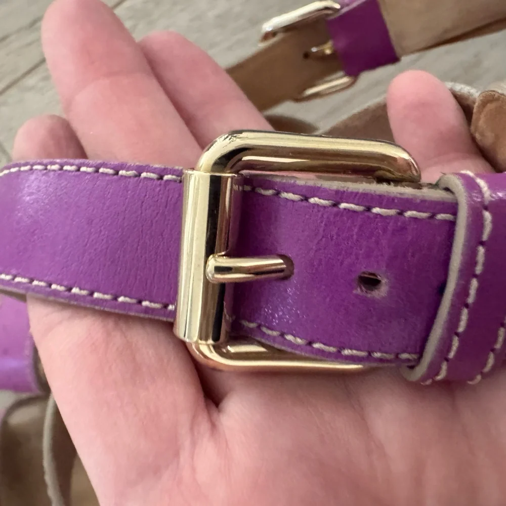 Dolce & Gabbana violet purple